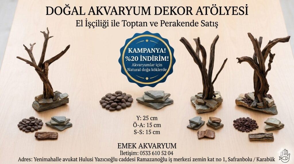 El Yapımı Doğal Kök Tasarımlarında %20 KAMPANYA